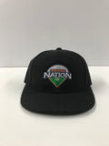 Diamond Nation Umpire Hat-Fitted