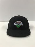 Diamond Nation Umpire Hat-Flex Fit